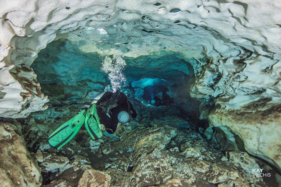 Estudia Sisal, comunidades microbianas y su potencial biotecnológico